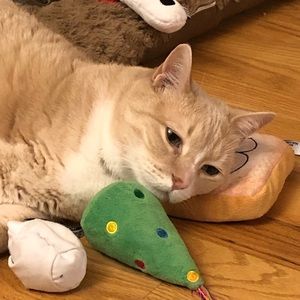 Meet your Posher, Jenn